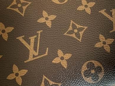 1:1 Louis Vuitton Bags M47515 17X12X6cm XM 3colour
