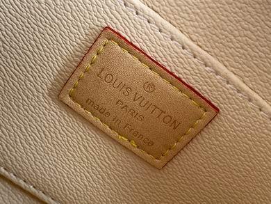 1:1 Louis Vuitton Bags M47515 17X12X6cm XM 3colour