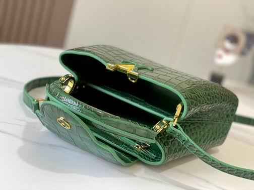 1:1 Louis Vuitton Bags Hatucines N92173 27x18x9cm cs6色