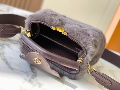 1:1 Louis Vuitton Bags Hatucines M22387水貂毛21x14x8cm ss