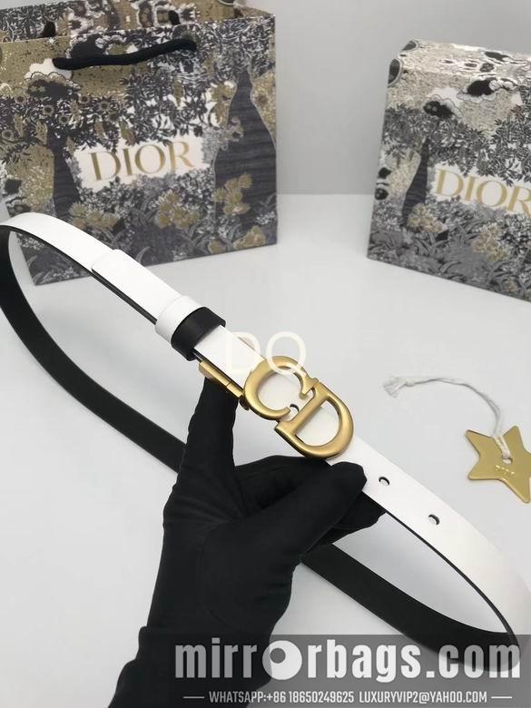 Replica Dior 20mmx90-115cm 05