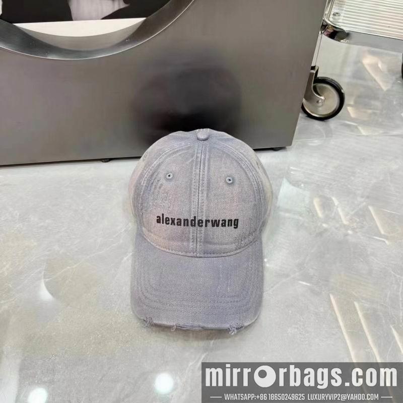 Replica Alexander Wang Hat dx05