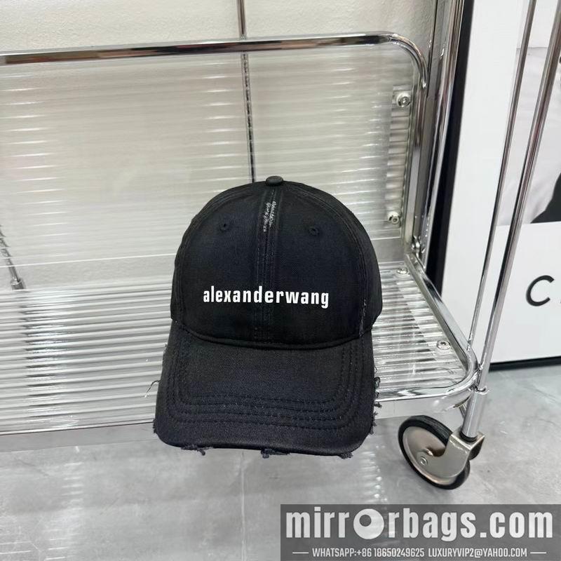 Replica Alexander Wang Hat dx01