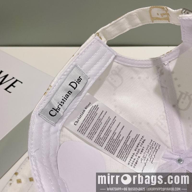 Replica Dior Hat 010201