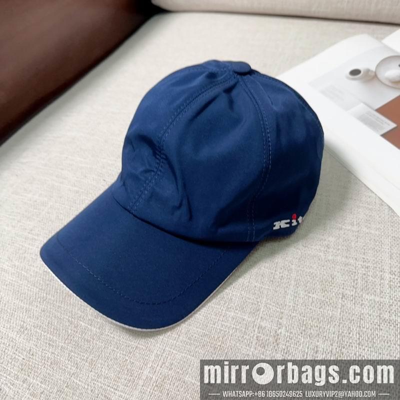 Replica Kiton Hat dx01