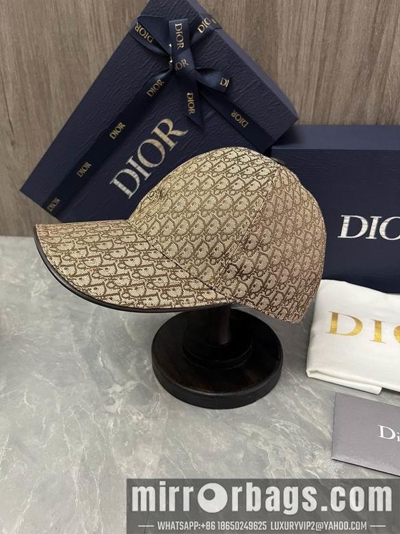 Replica Dior Hat dxn01