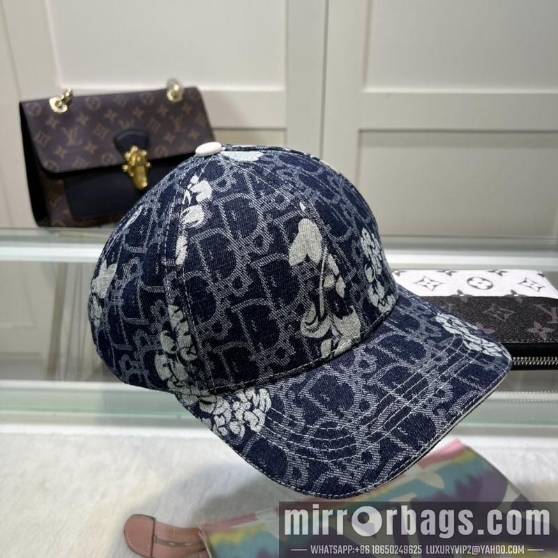 Replica Dior Hat dx29