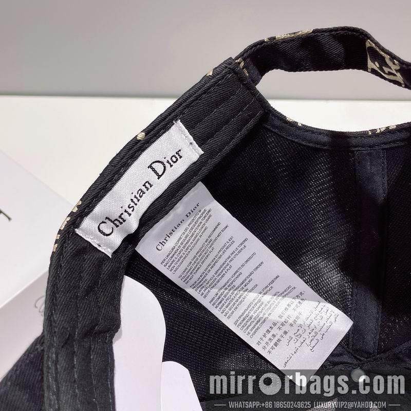 Replica Dior Hat 010201