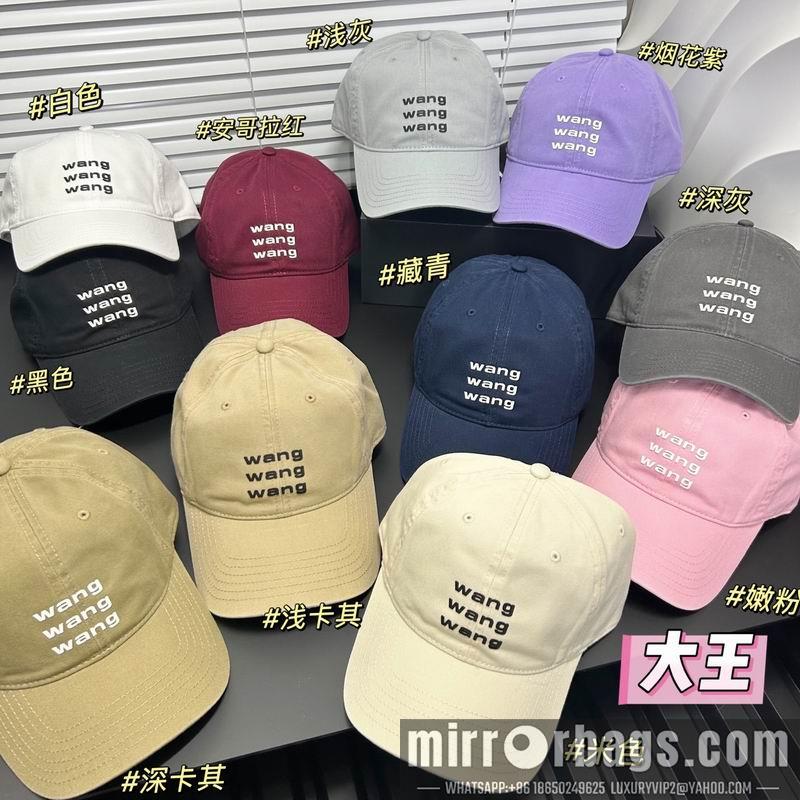 Replica Alxander Wang Hat dx19