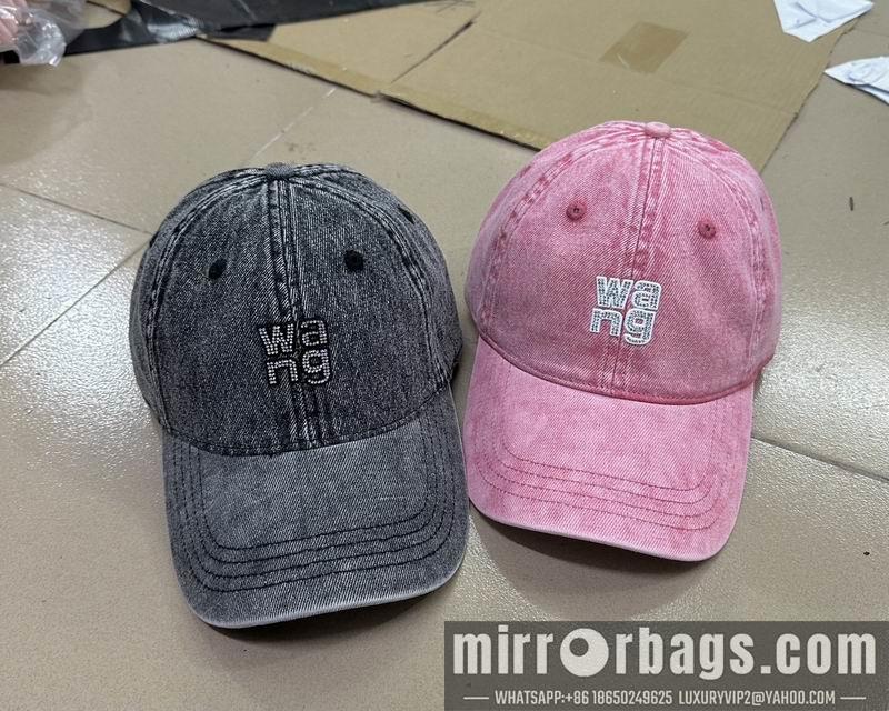 Replica Alexander Wang Hat dx02