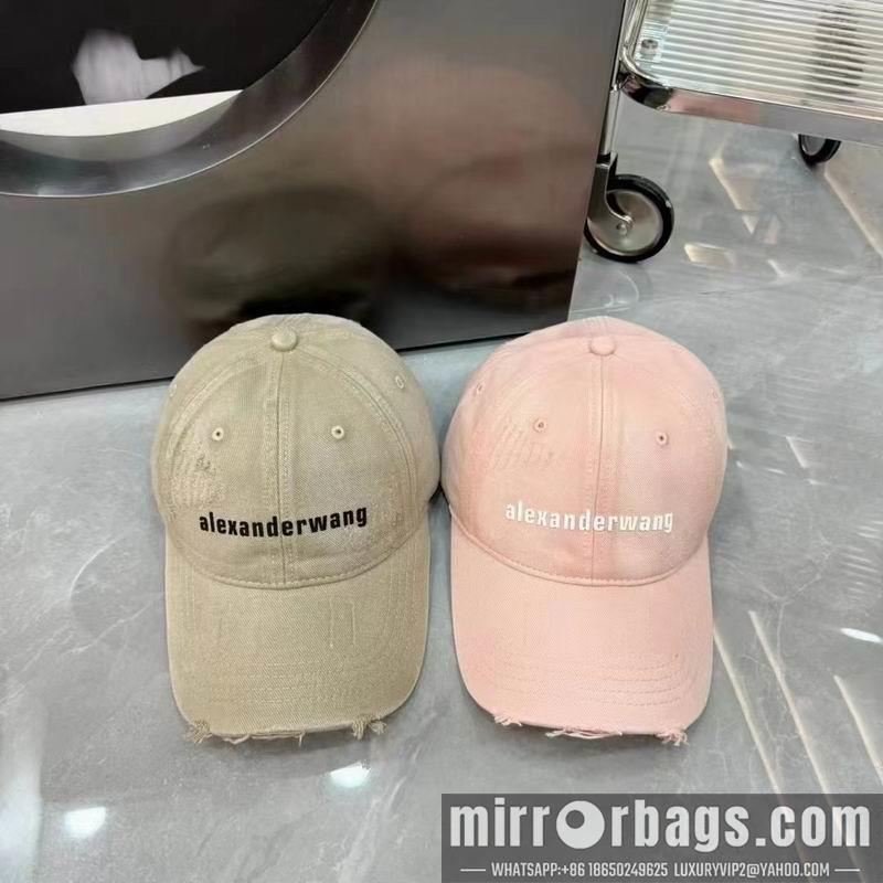 Replica Alexander Wang Hat dx05