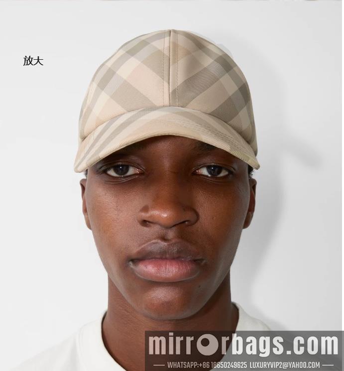 Replica Burberry Hat dx61