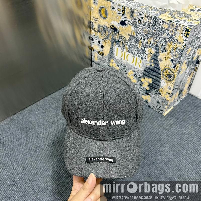 Replica Alexander Wang Hat dx15