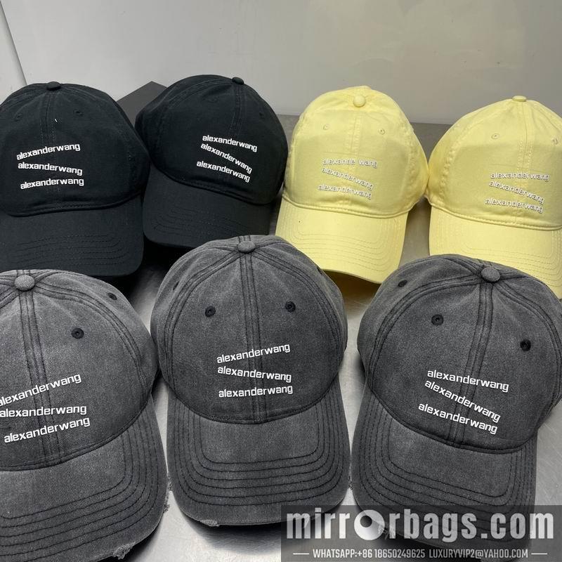 Replica Alexander Wang Hat dx21