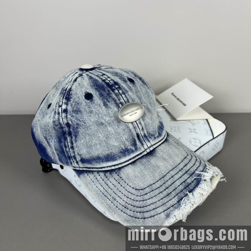 Replica Alexander Wang Hat dx20