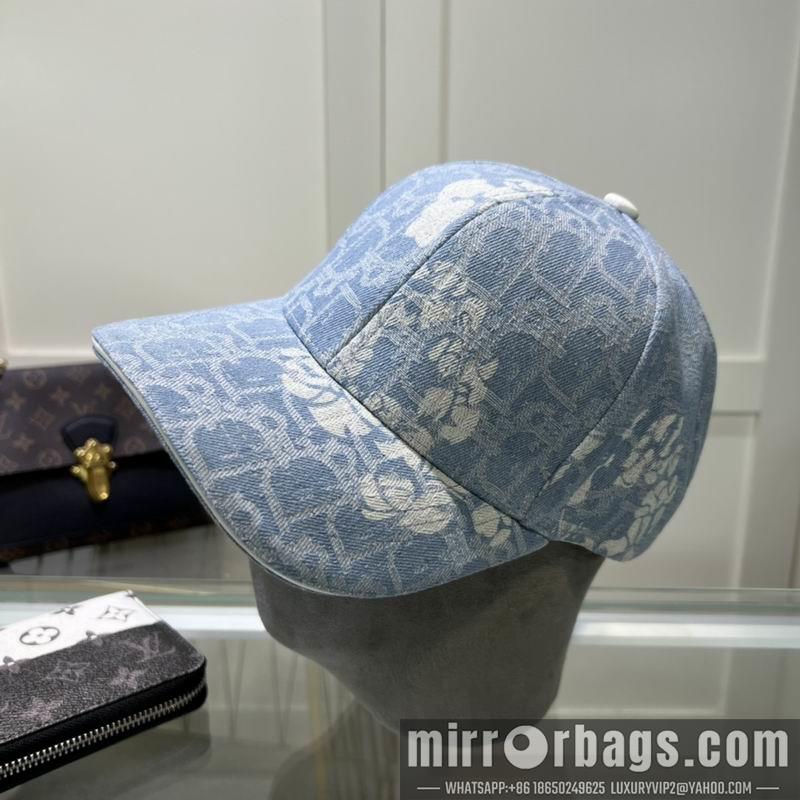 Replica Dior Hat dx29