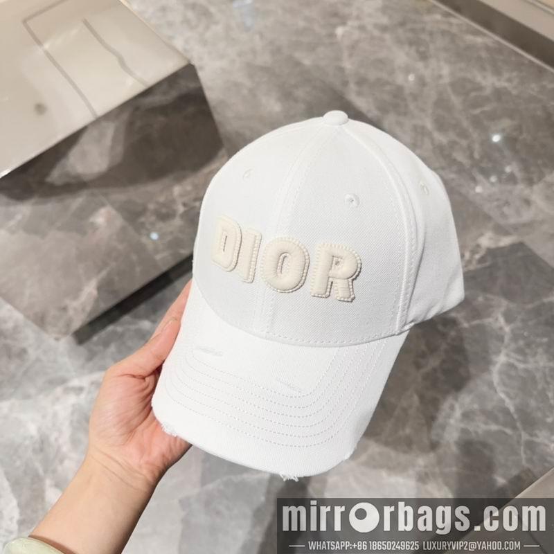Replica Dior Hat dx12