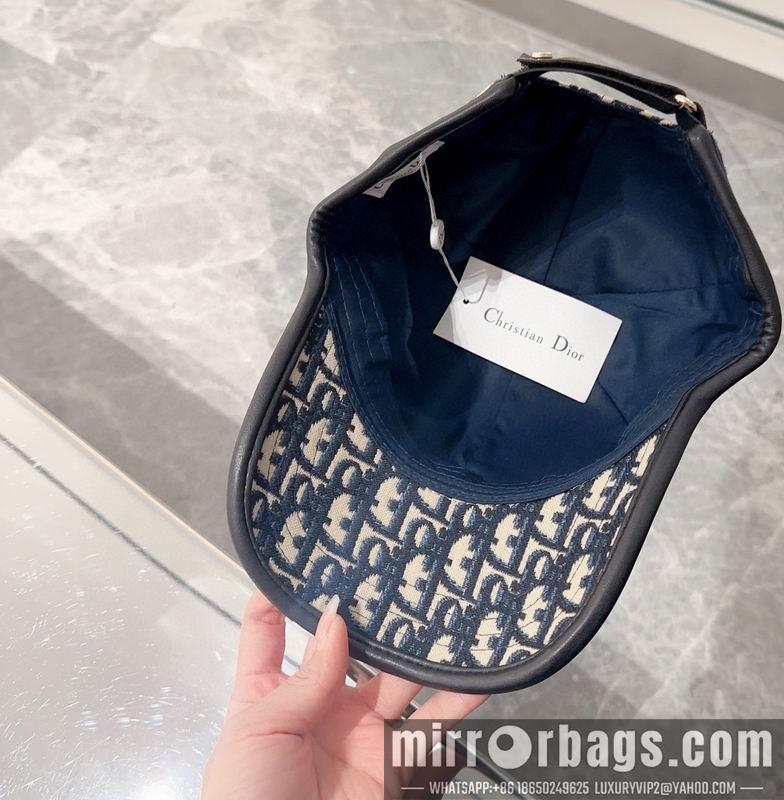 Replica Dior Hat 042701