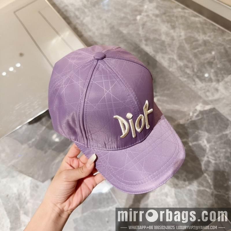 Replica Dior Hat 080104