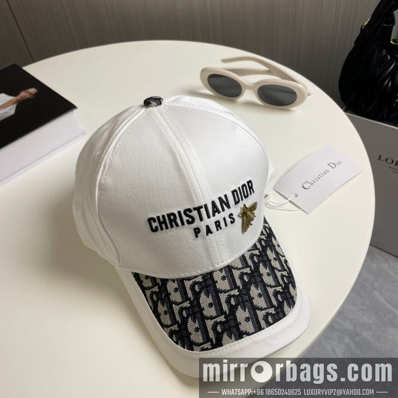 Replica Dior Hat 081001