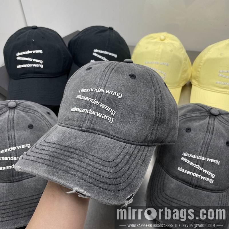 Replica Alexander Wang Hat dx21