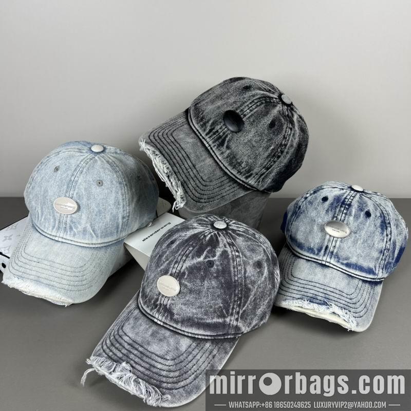 Replica Alexander Wang Hat dx20