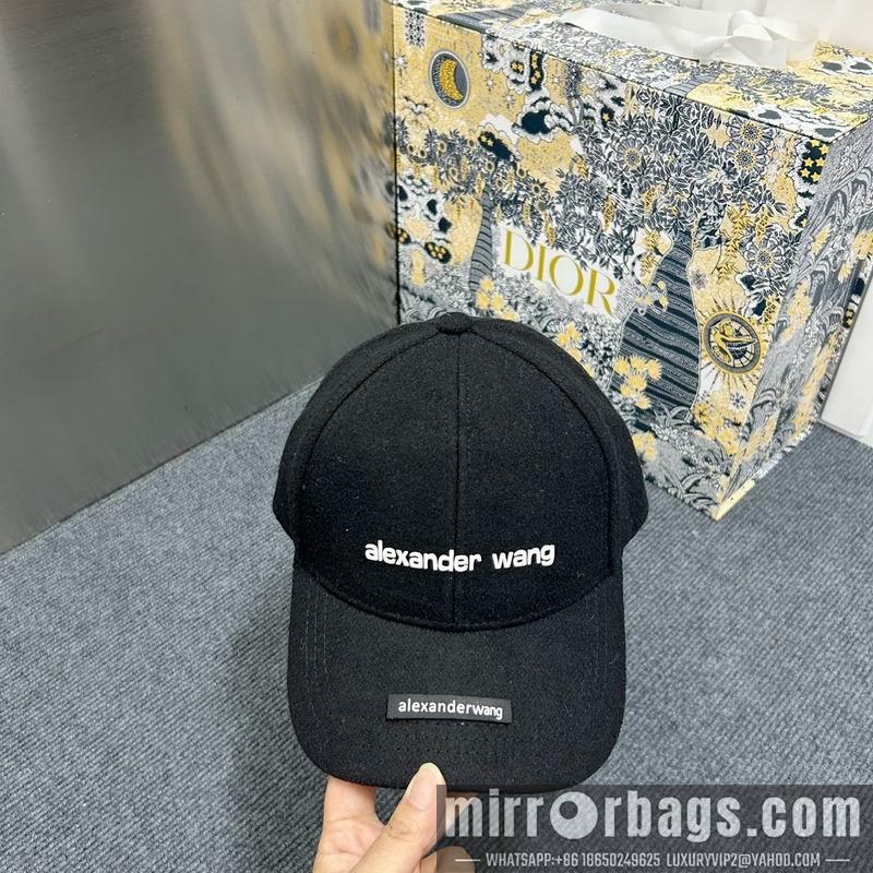 Replica Alexander Wang Hat dx15