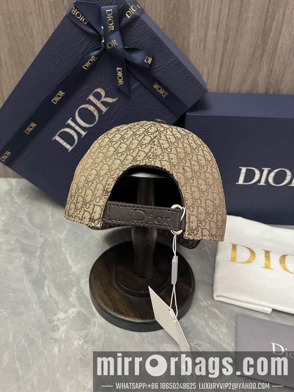 Replica Dior Hat dxn01