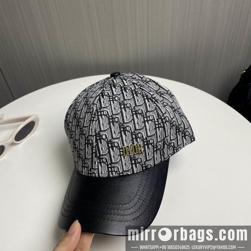 Replica Dior Hat 040202