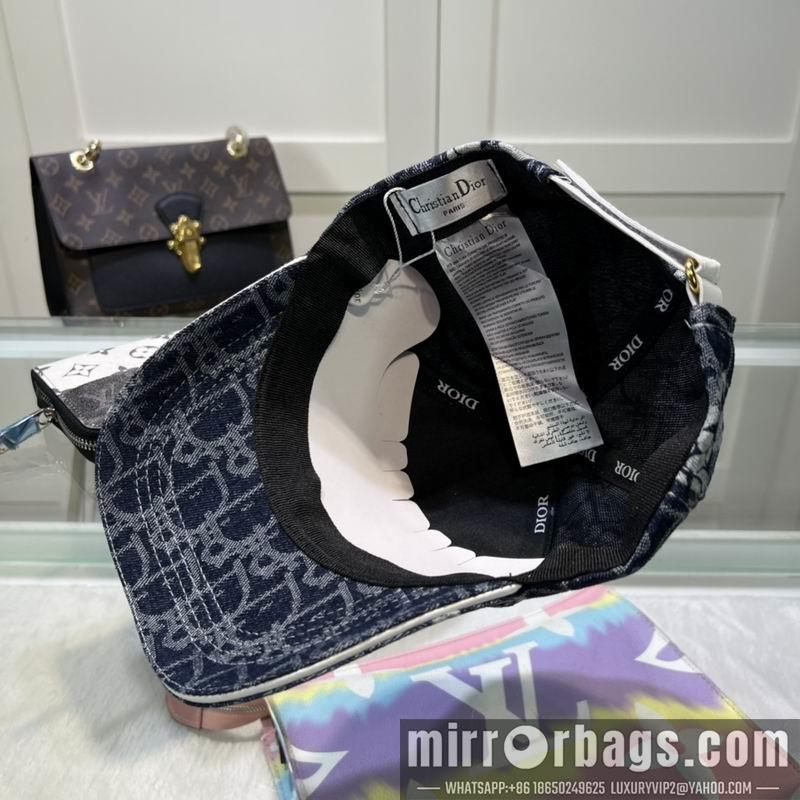 Replica Dior Hat dx29