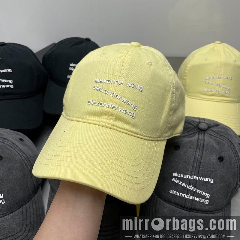 Replica Alexander Wang Hat dx21