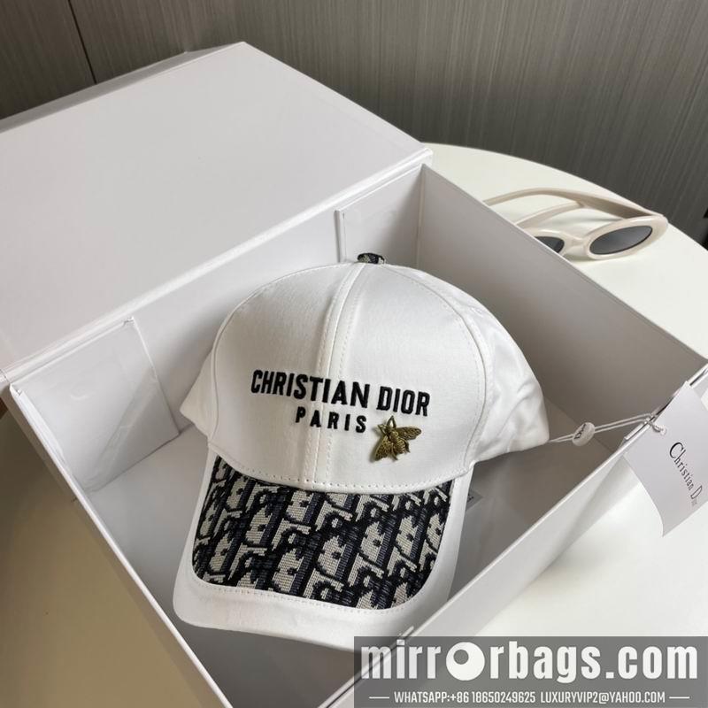 Replica Dior Hat 081001