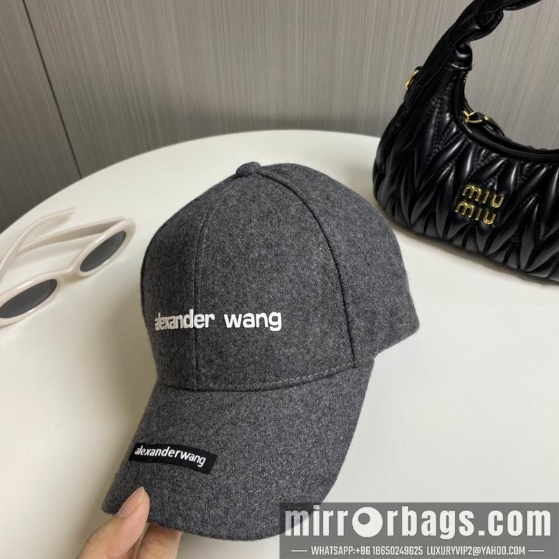 Replica Alexander Wang Hat dx16