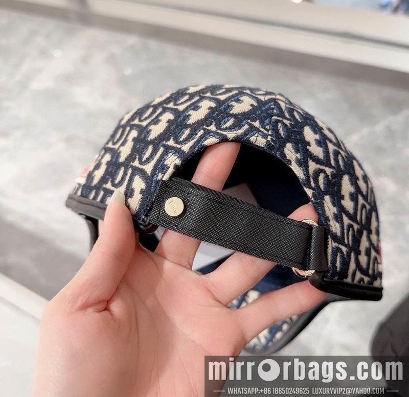 Replica Dior Hat 042701