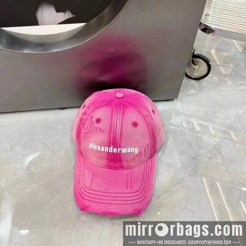 Replica Alexander Wang Hat dx05