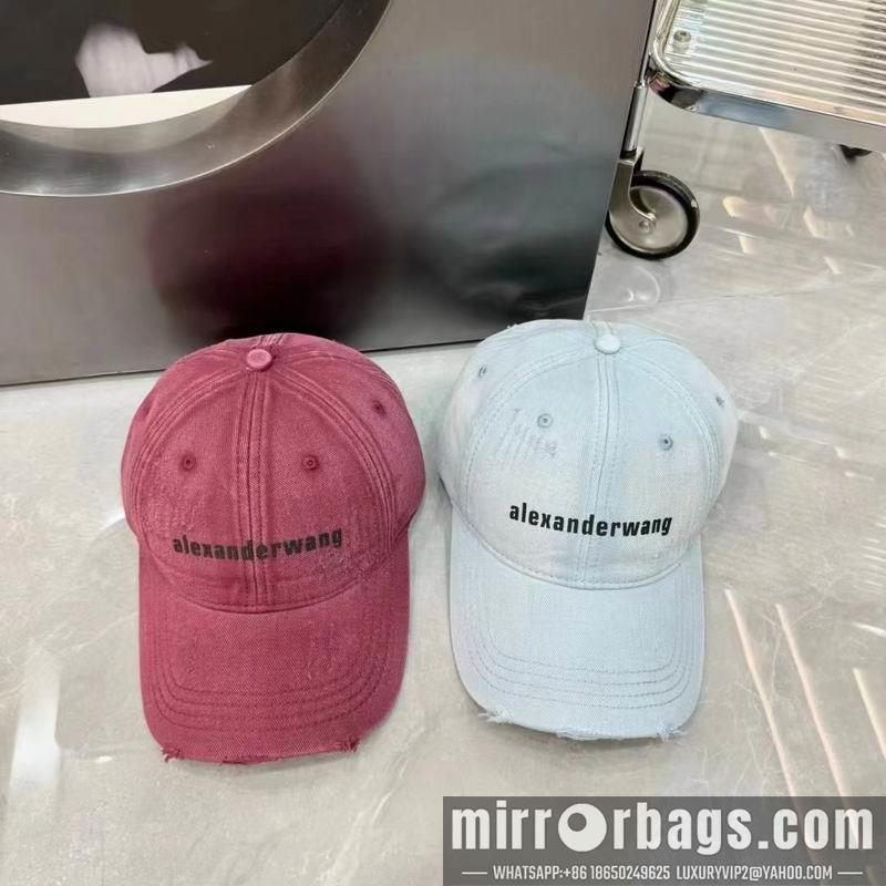 Replica Alexander Wang Hat dx05