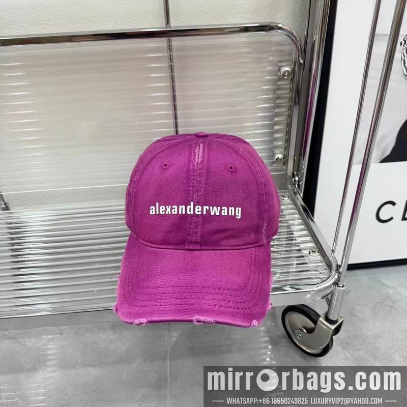 Replica Alexander Wang Hat dx01
