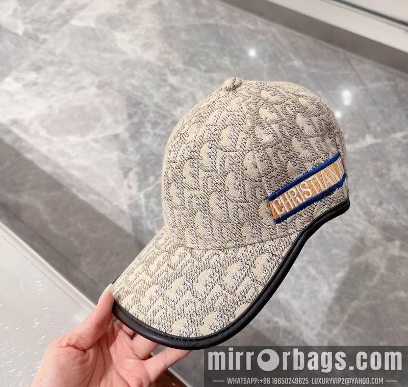 Replica Dior Hat 042701