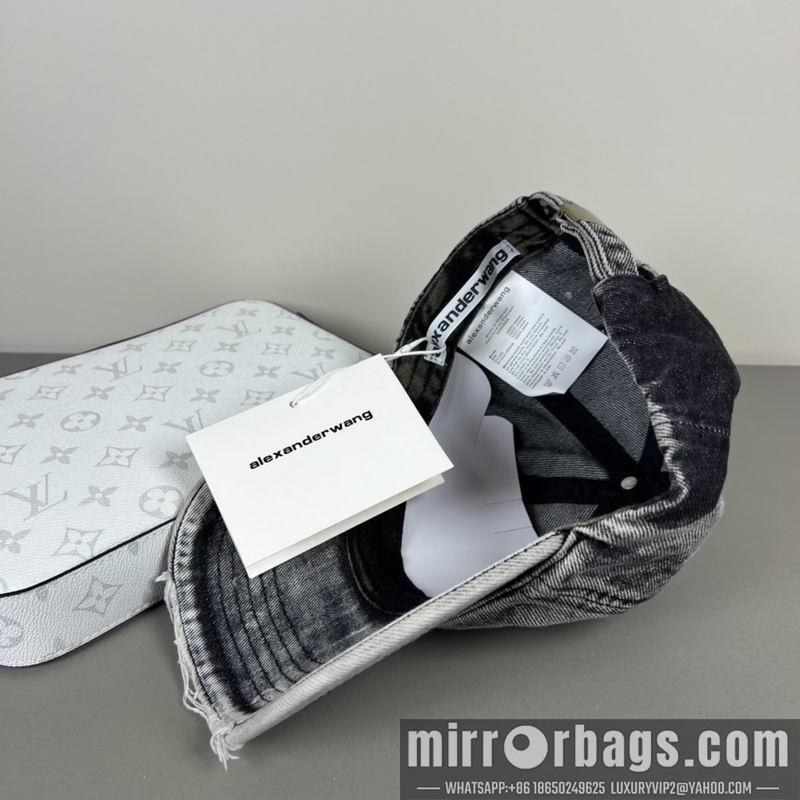 Replica Alexander Wang Hat dx20