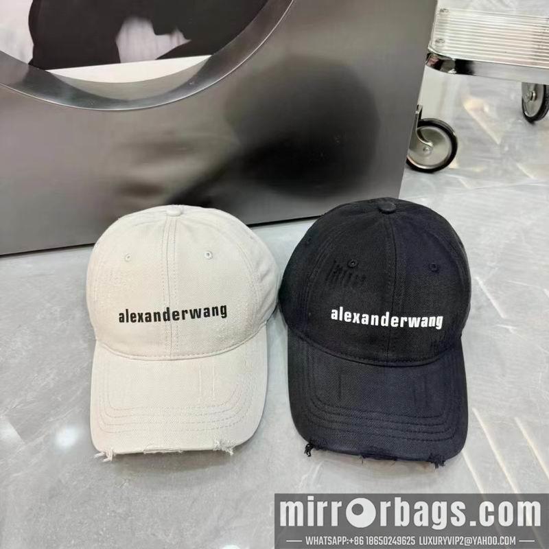 Replica Alexander Wang Hat dx05