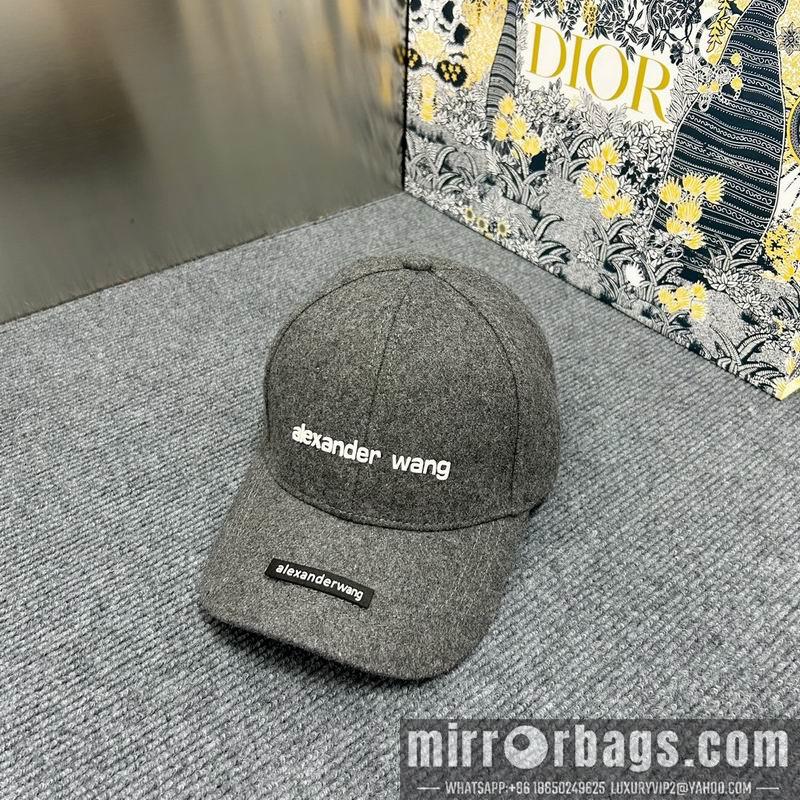 Replica Alexander Wang Hat dx15