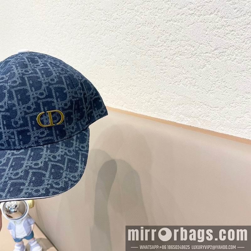 Replica Dior Hat 081002