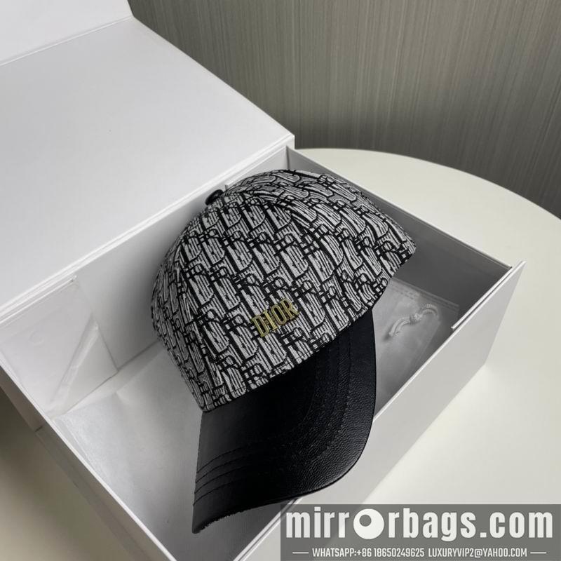 Replica Dior Hat 040202