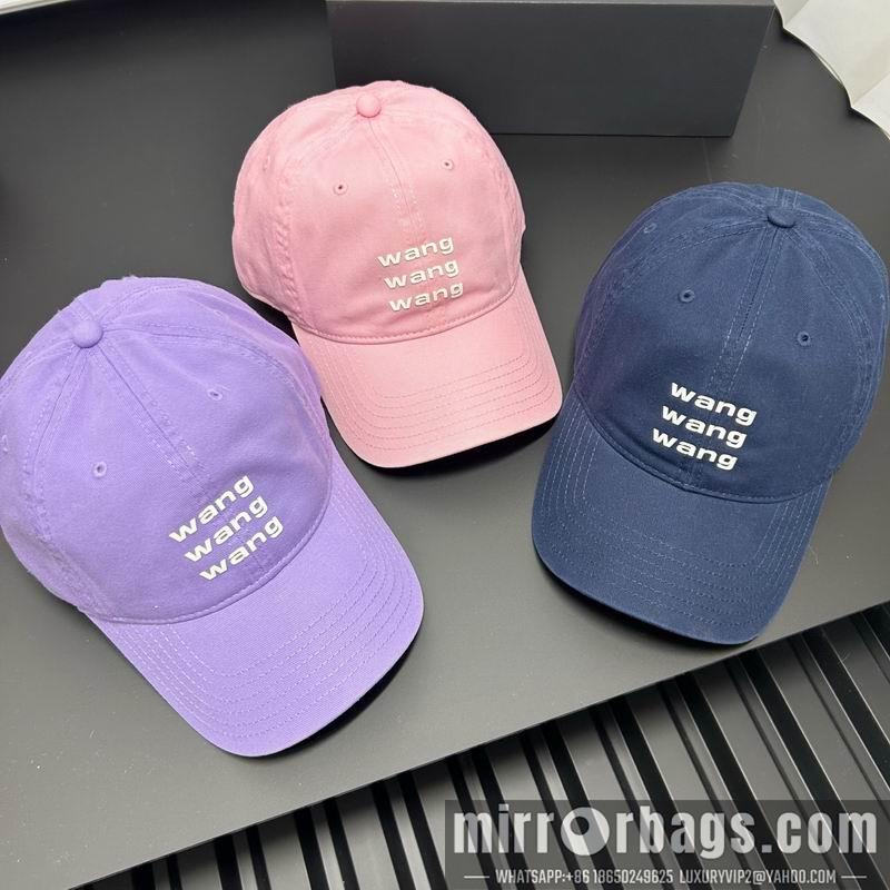 Replica Alxander Wang Hat dx19