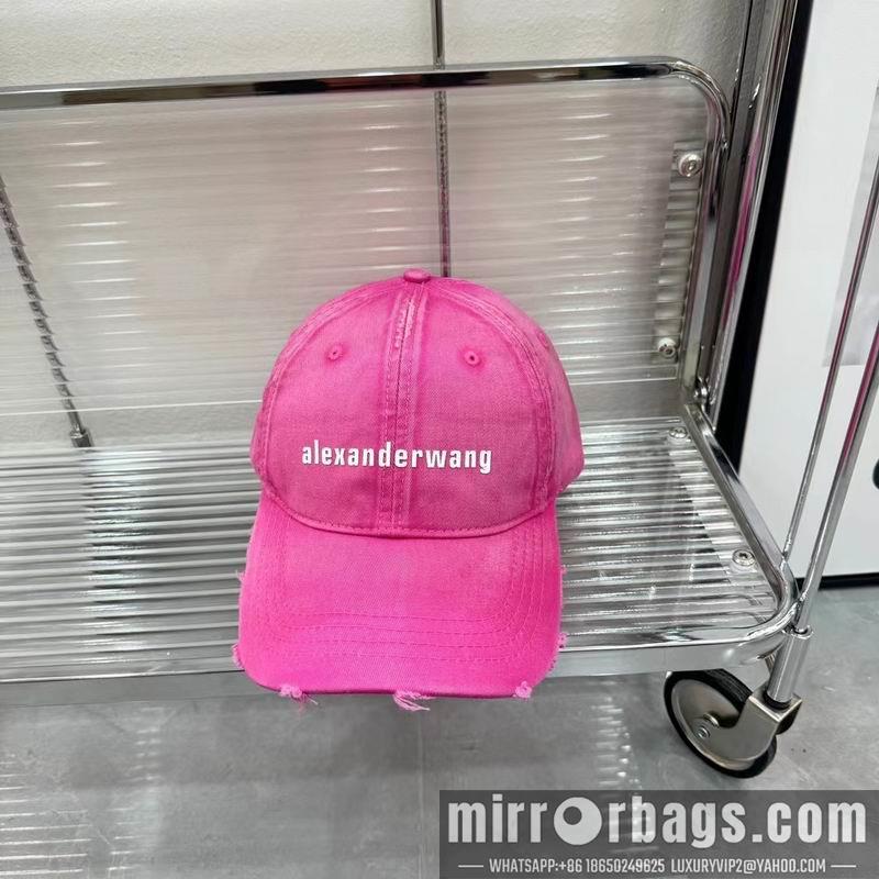 Replica Alexander Wang Hat dx01