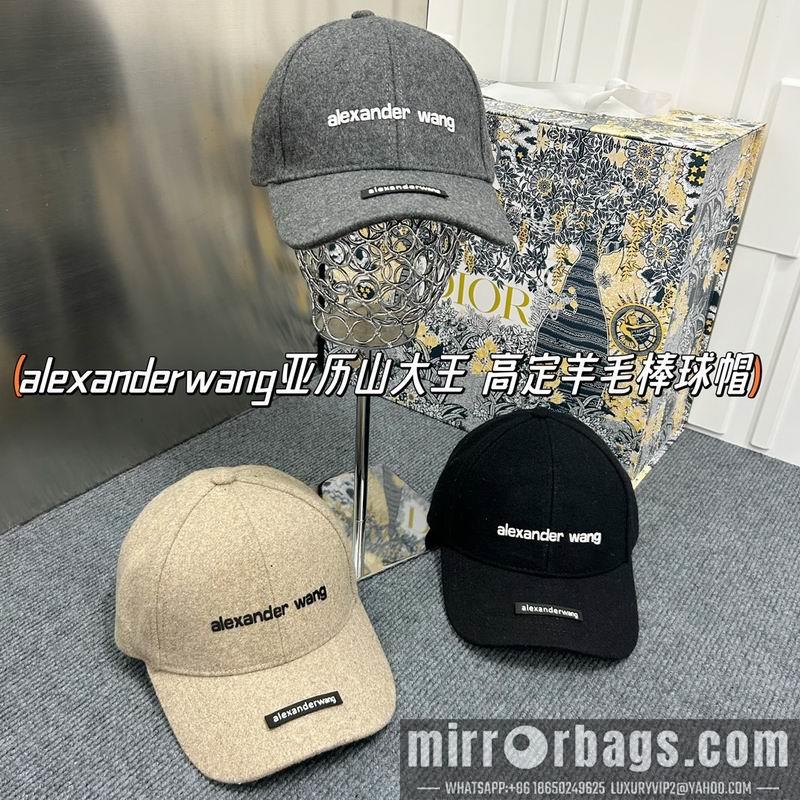 Replica Alexander Wang Hat dx15