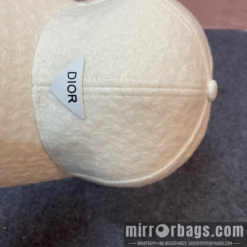Replica Dior Hat 011301