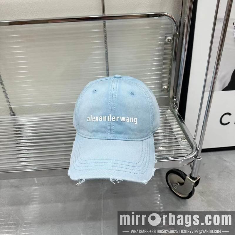 Replica Alexander Wang Hat dx01