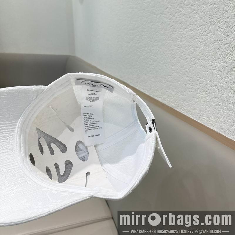 Replica Dior Hat 041701