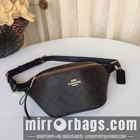 Replica Coach Bags BH48740 30X12X11 two colors